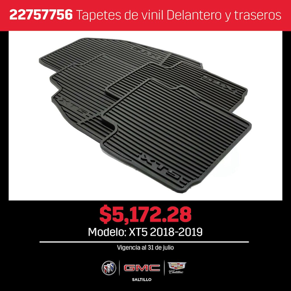 Tapetes de vinil delantero